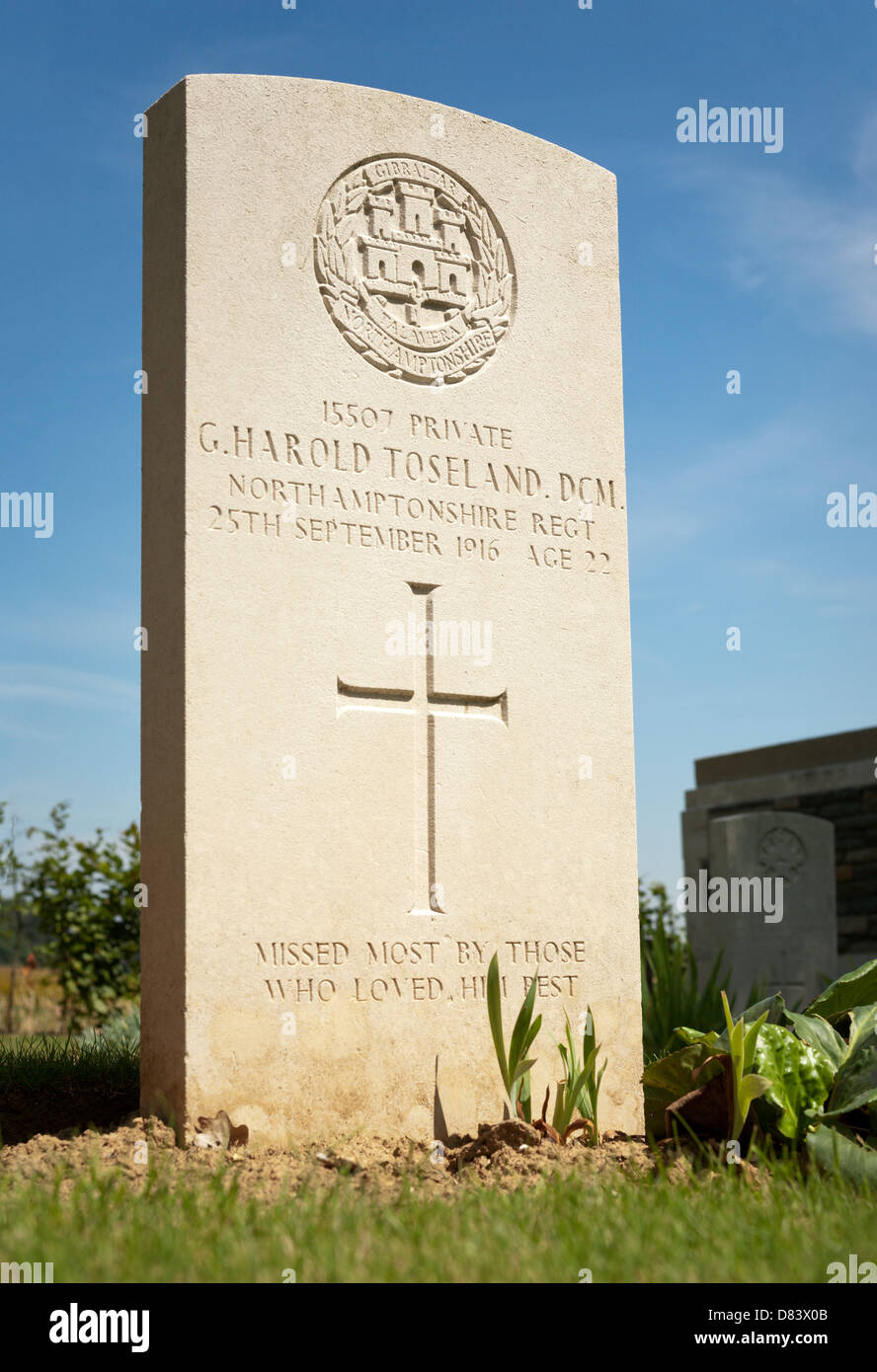 Lapide di George privato H Toseland. Morì di età compresa tra i 22 settembre 1916. PEAKE legno cimitero britannico, FRICOURT, SOMME, Francia. Foto Stock