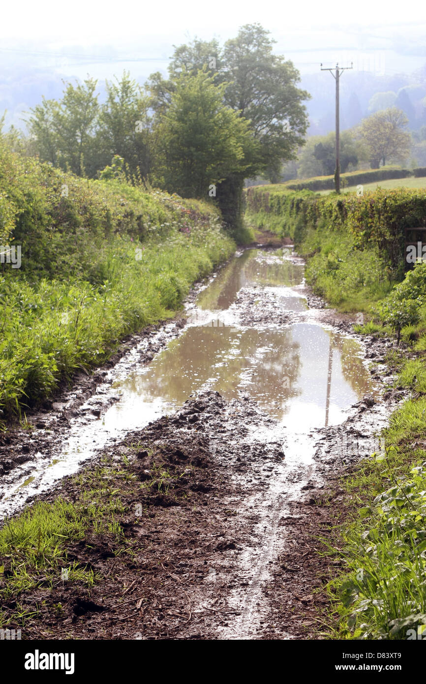 Grandi pozze di fango corsia rurale in Winscombe Somerset, Inghilterra, Regno Unito, maggio 2013 Foto Stock