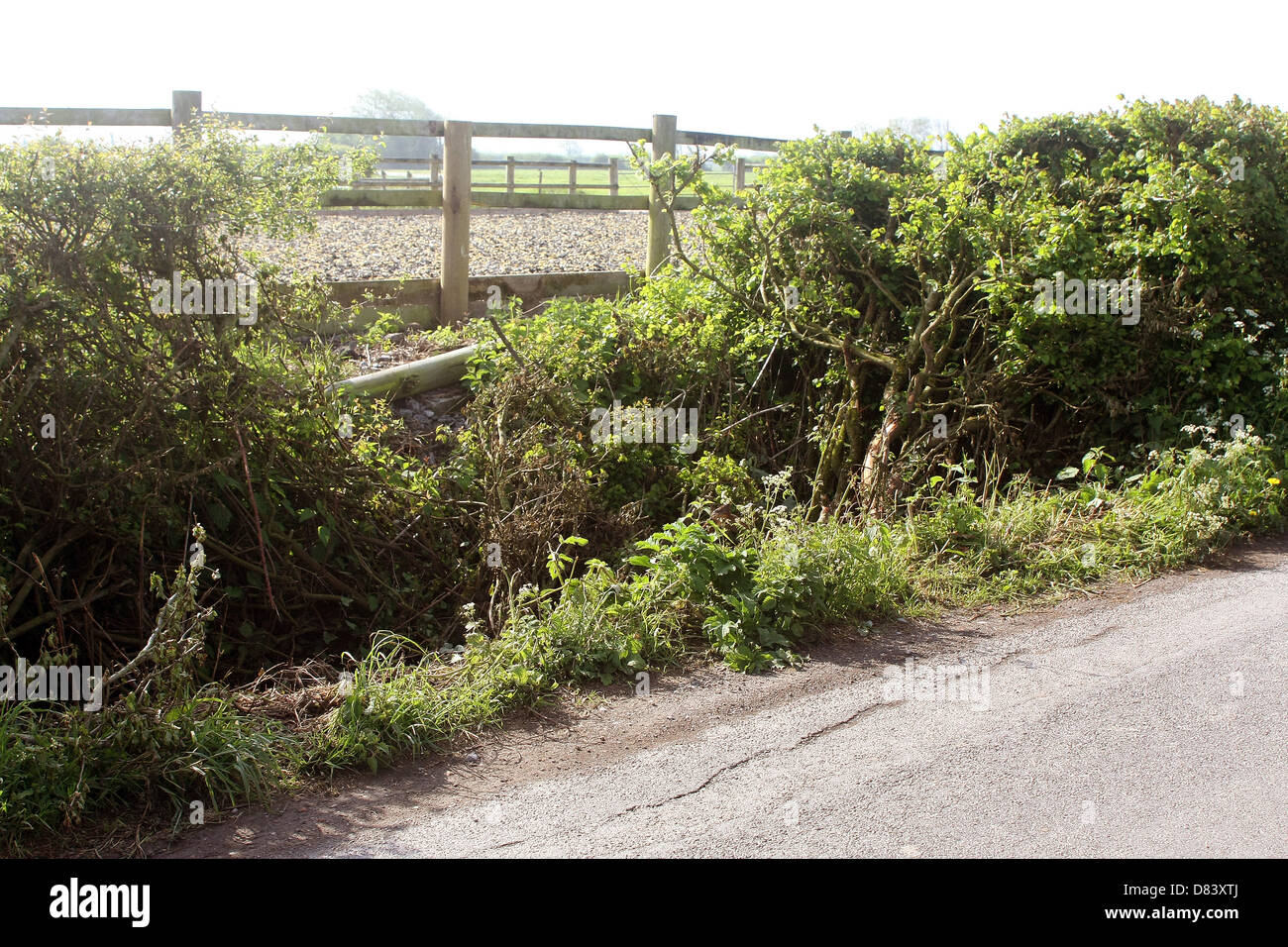 Car crash site in un vicolo del paese nella più profonda Somerset, Inghilterra, Regno Unito, maggio 2013 Foto Stock