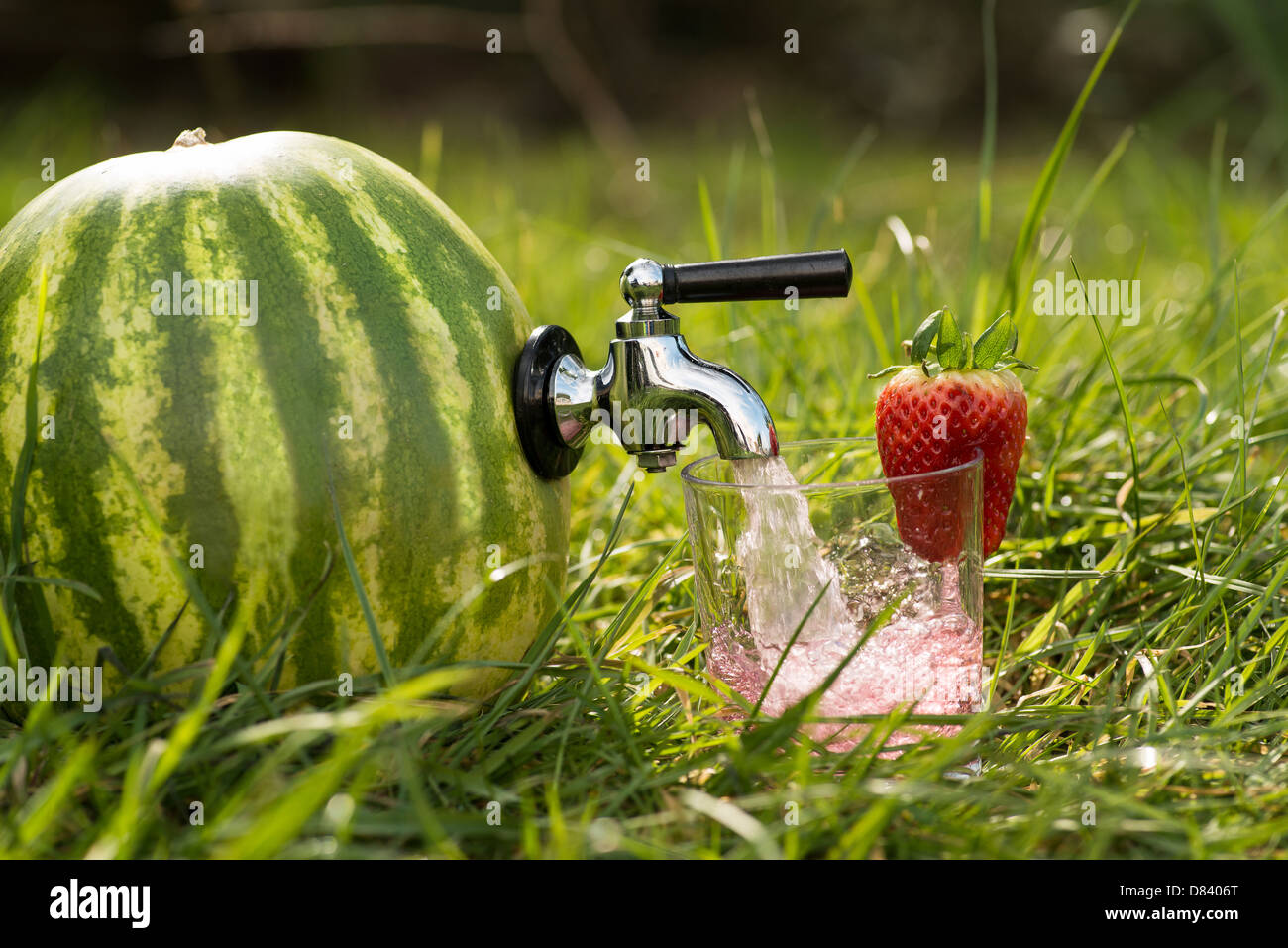 Un verde acqua melone con un rubinetto di erogazione di anguria rosa succo  di frutta Foto stock - Alamy