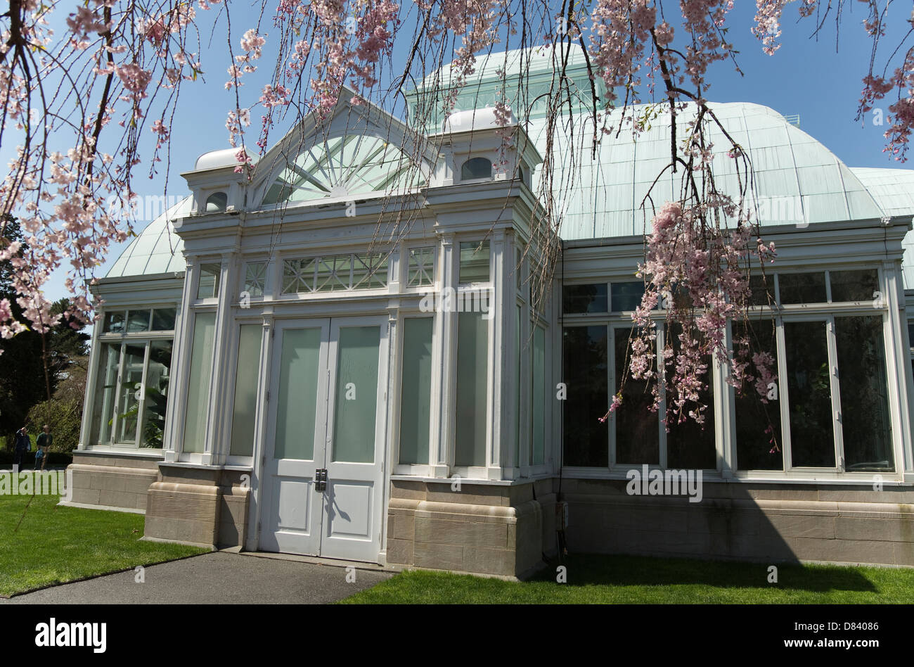 Una sezione di Enid A. Haupt Conservatorio sul New York Giardino Botanico nel Bronx Foto Stock