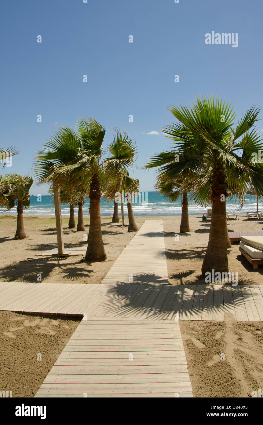 Passerella in legno al mare con palme a Rio Real, lusso proprietà sulla spiaggia vicino a Marbella. Costa del sol. Spagna. Foto Stock
