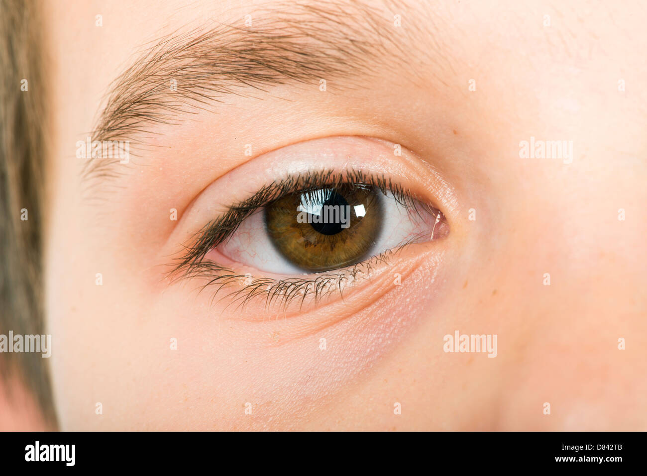 Occhio umano close up studio shot. Bambino occhio. Foto Stock