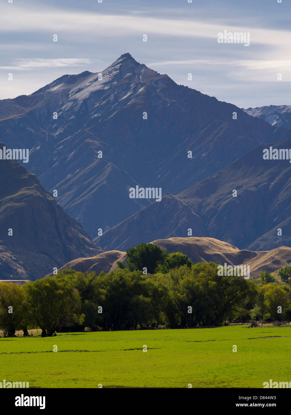 Guardando a Nord, una vista della valle dei rami con montatura Groenlandia in background, vicino a Queenstown, Otago, Nuova Zelanda. Foto Stock