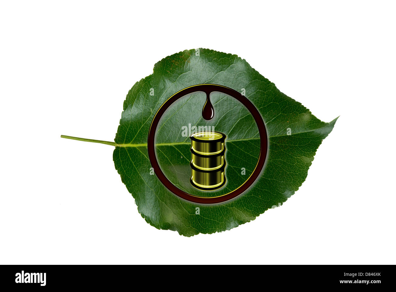 Olio bene la canna su foglia verde. Foto Stock