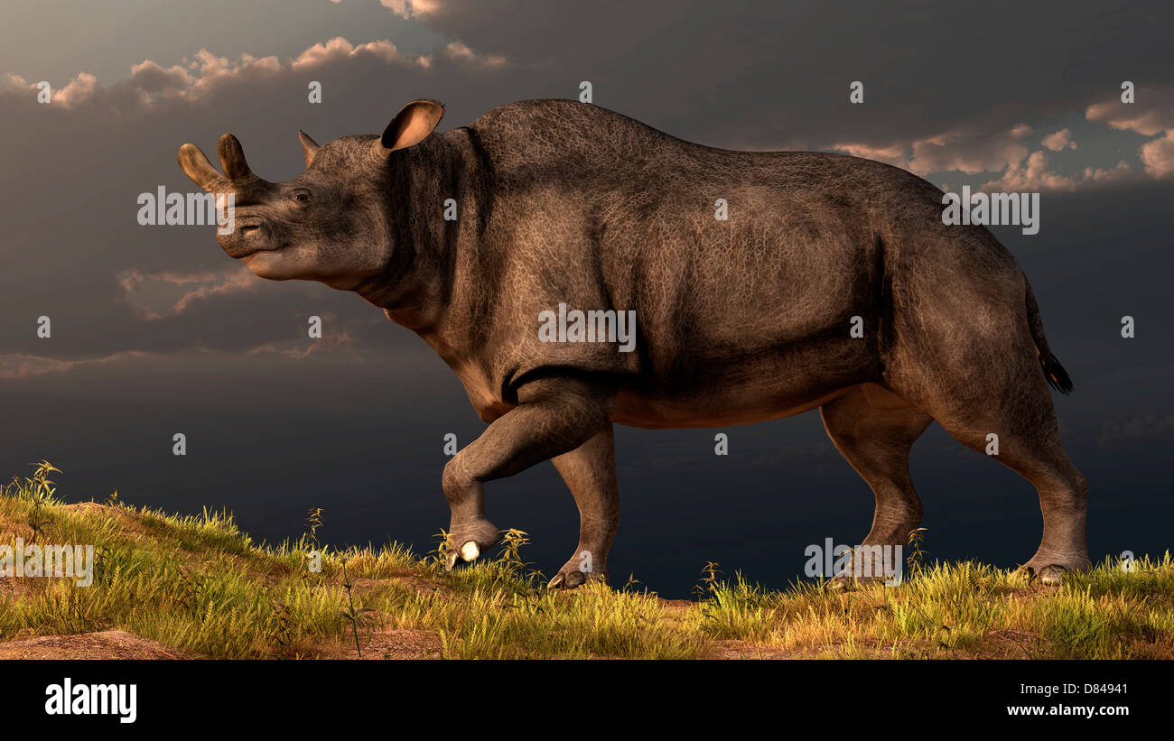 Un Brontotherium camminando sulla cima di una collina erbosa. Foto Stock