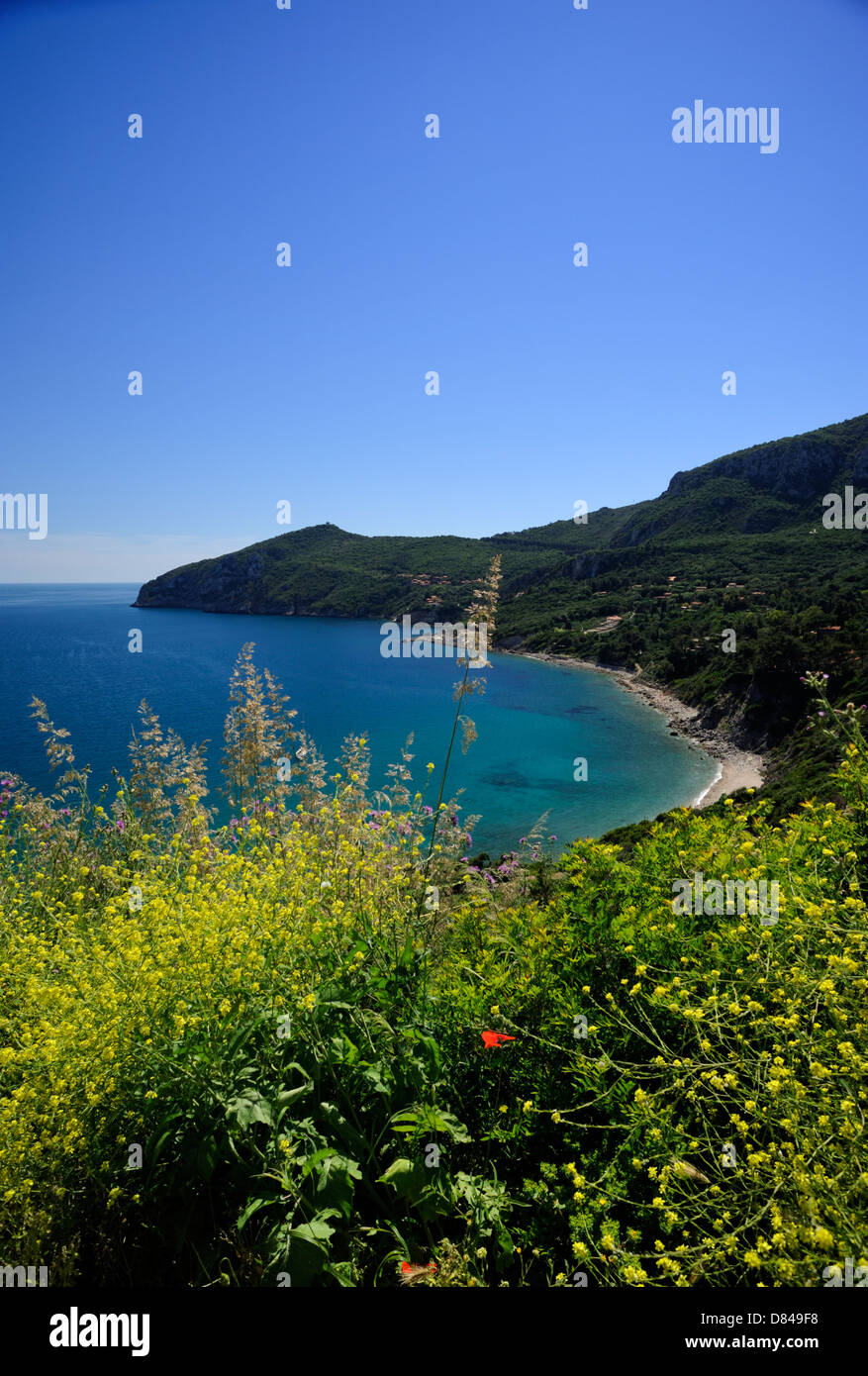 Italia, Toscana, Argentario, costa meridionale Foto Stock