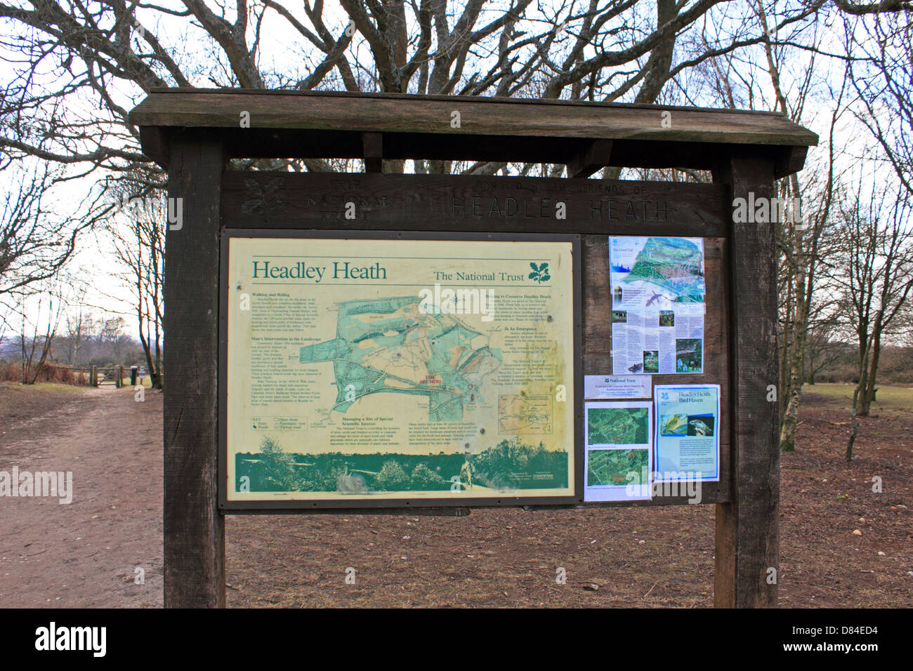 Headley Heath, Surrey, Inghilterra, Regno Unito. Foto Stock