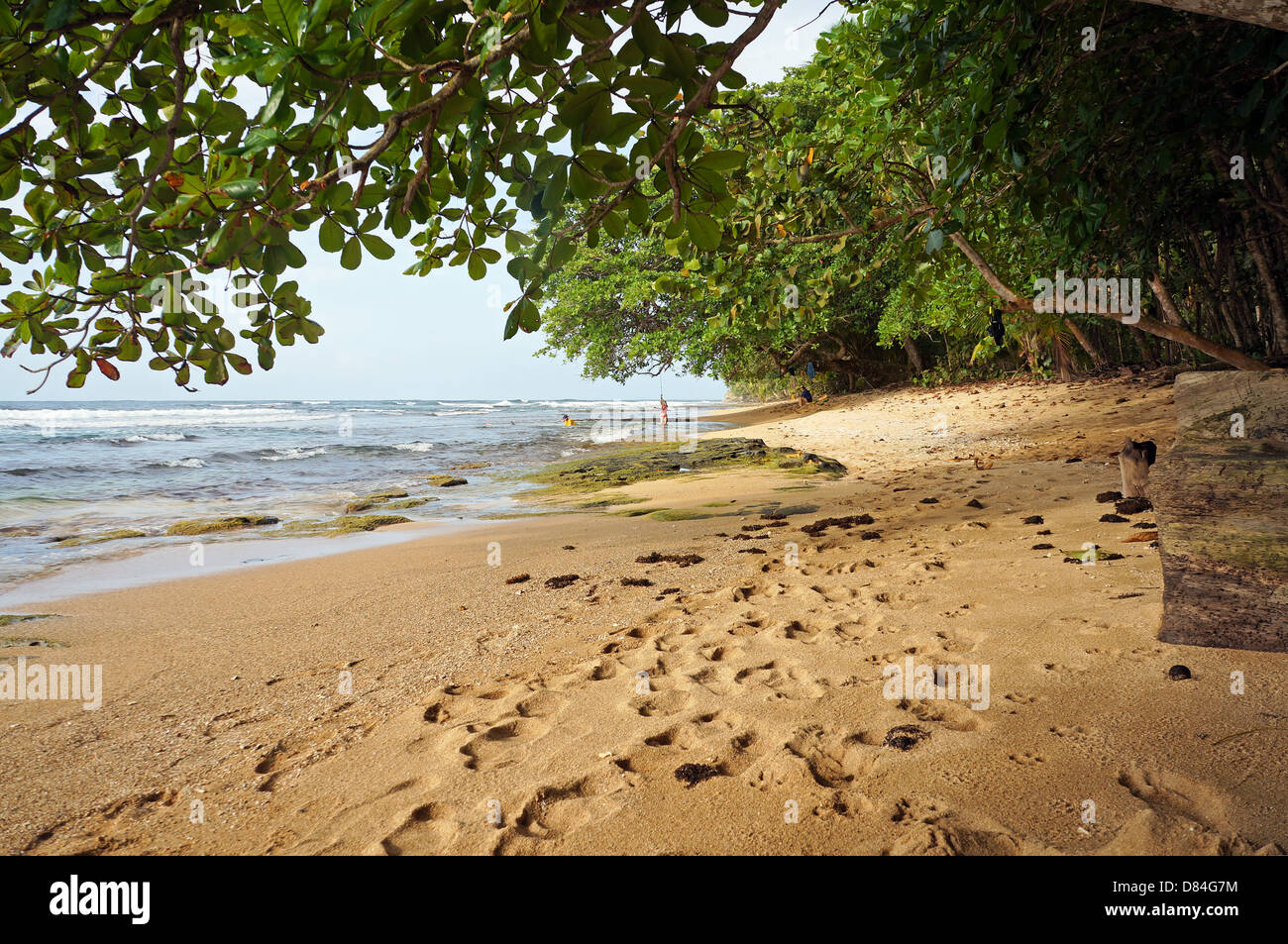 Spiaggia tropicale con vegetazione lussureggiante, Caraibi, Manzanillo, Costa Rica Foto Stock
