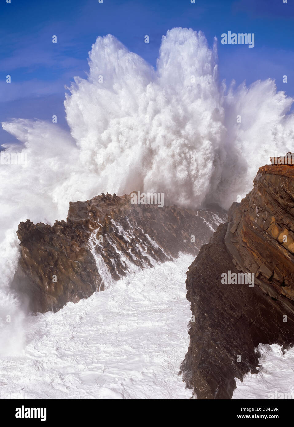 Crashing wave a Riva acri del parco statale, Oregon. Foto Stock