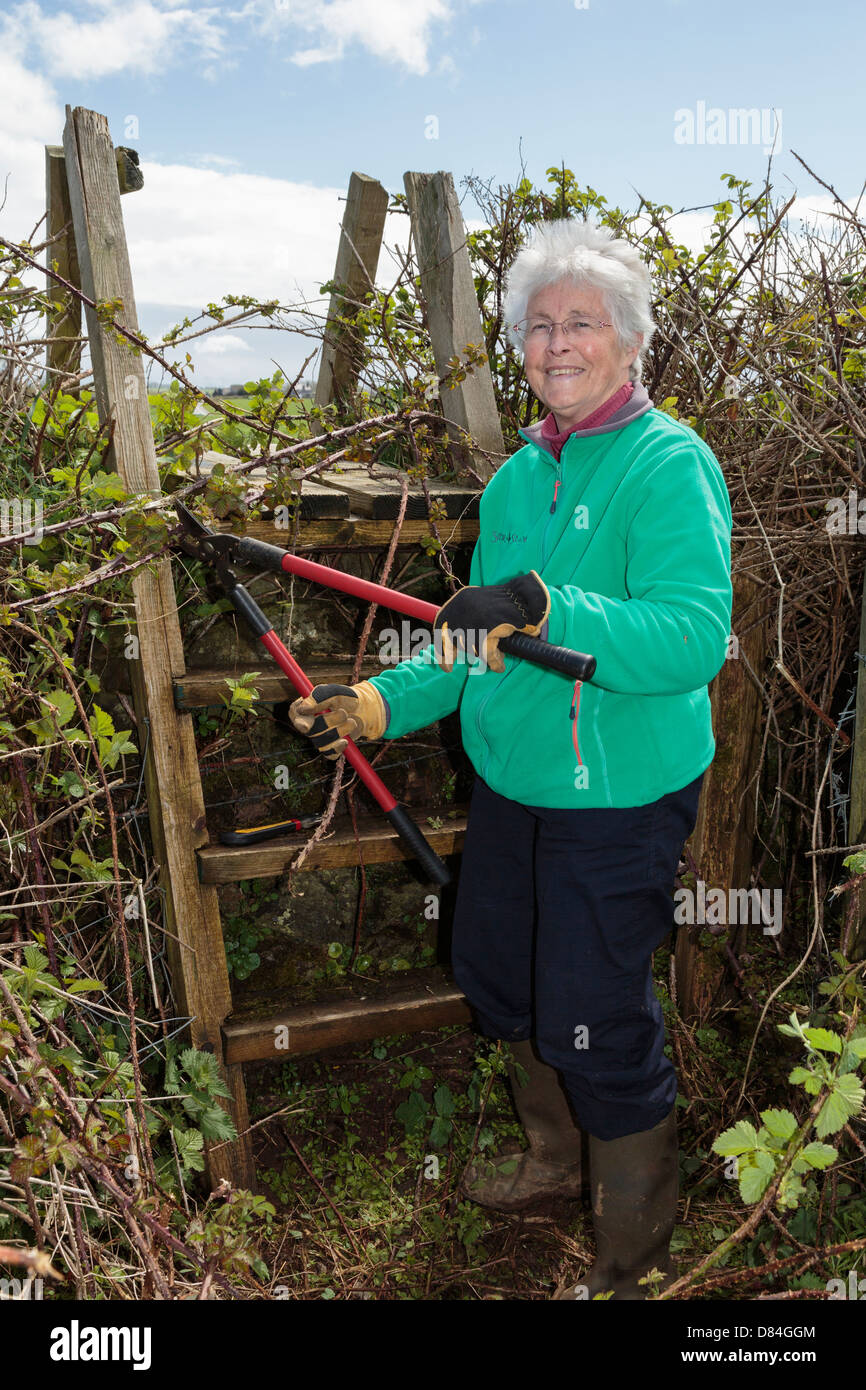 Ramblers sentiero volontario lavoratore pensionato cancellazione di un paese percorso e il montante della scala bloccato con vegetazione sovradimensionate. Wales UK Gran Bretagna Foto Stock