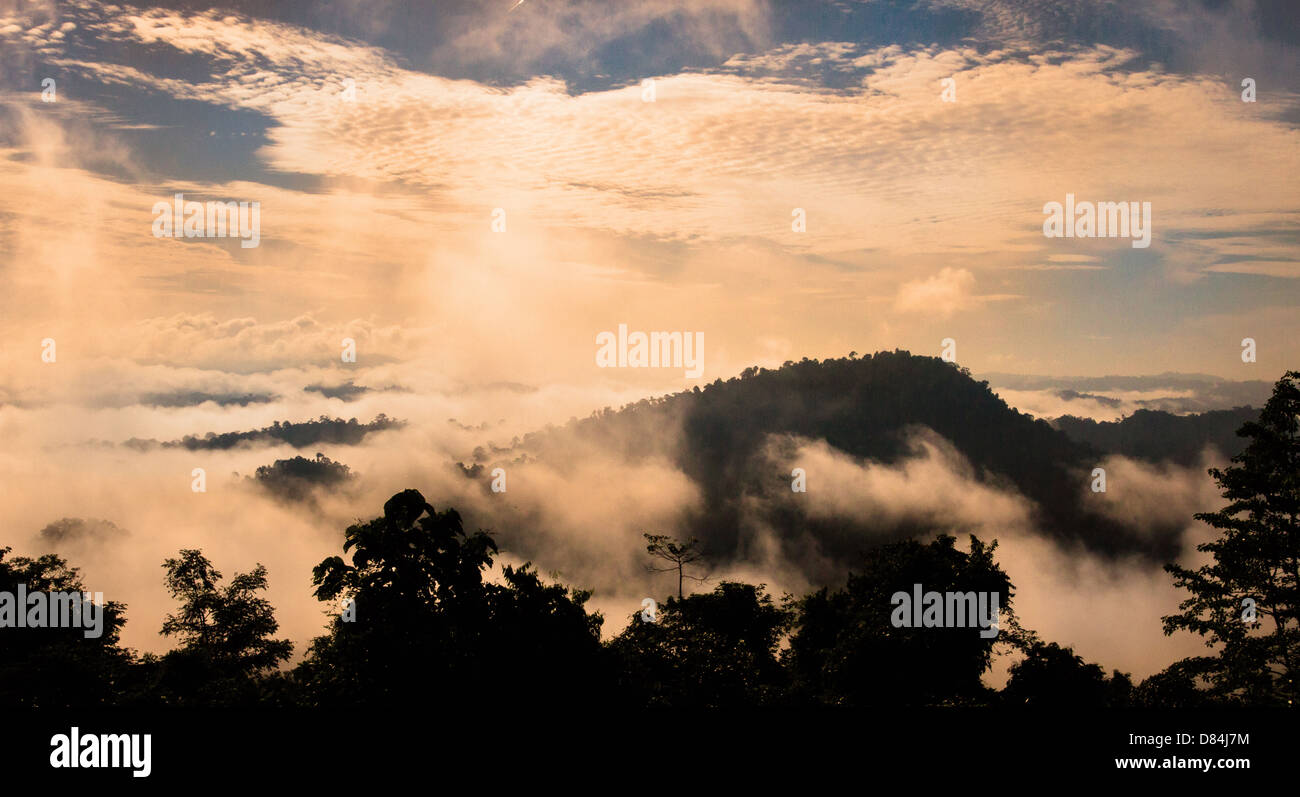 Il Cloud inghirlandato rainforested colline nella Danum Valley Sabah Borneo all'alba Foto Stock