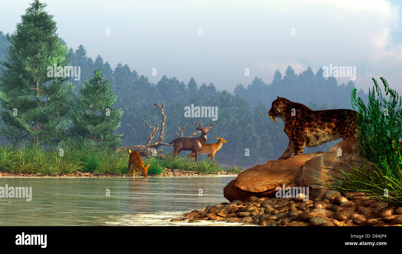 Una sciabola-gatto dentata guarda su un fiume presso una famiglia di cervi. Foto Stock