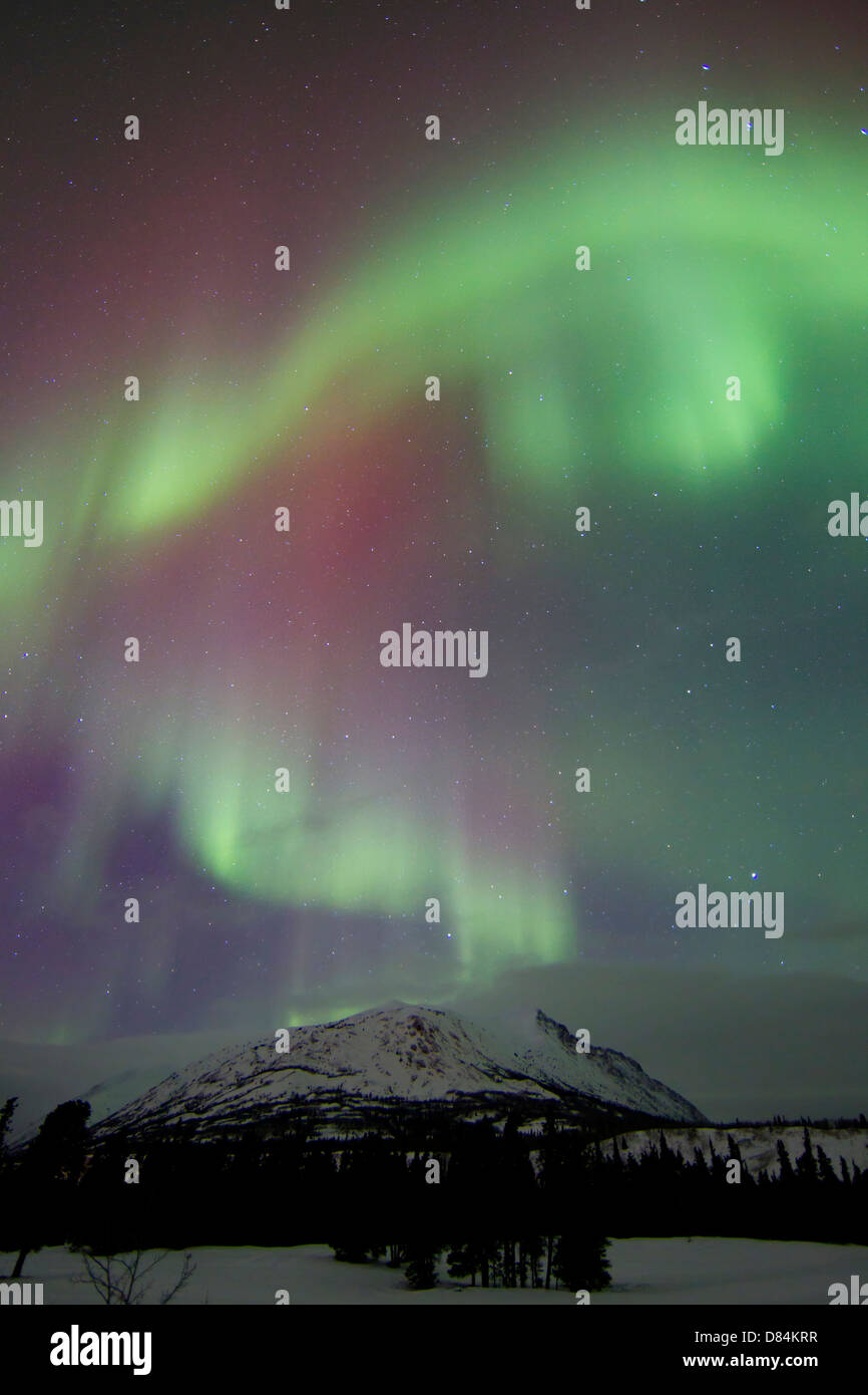 Il rosso e il verde aurora boreale su Carcross Dessert, Carcross, Yukon, Canada. Foto Stock