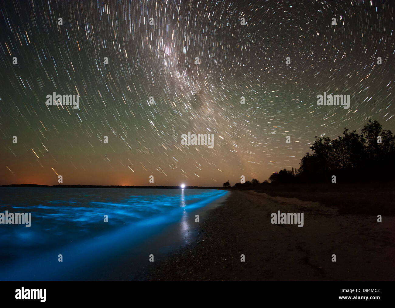 Tracce stellari e la bioluminescenza nel Gippsland Lakes, Victoria, Australia. Foto Stock