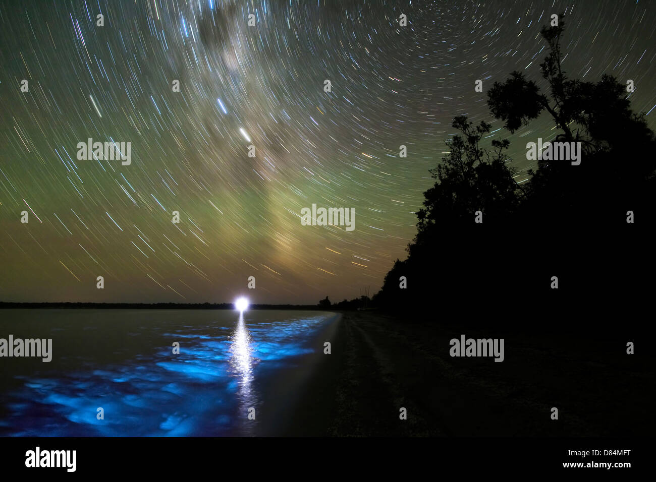 Tracce stellari e la bioluminescenza nel Gippsland Lakes, Victoria, Australia. Foto Stock