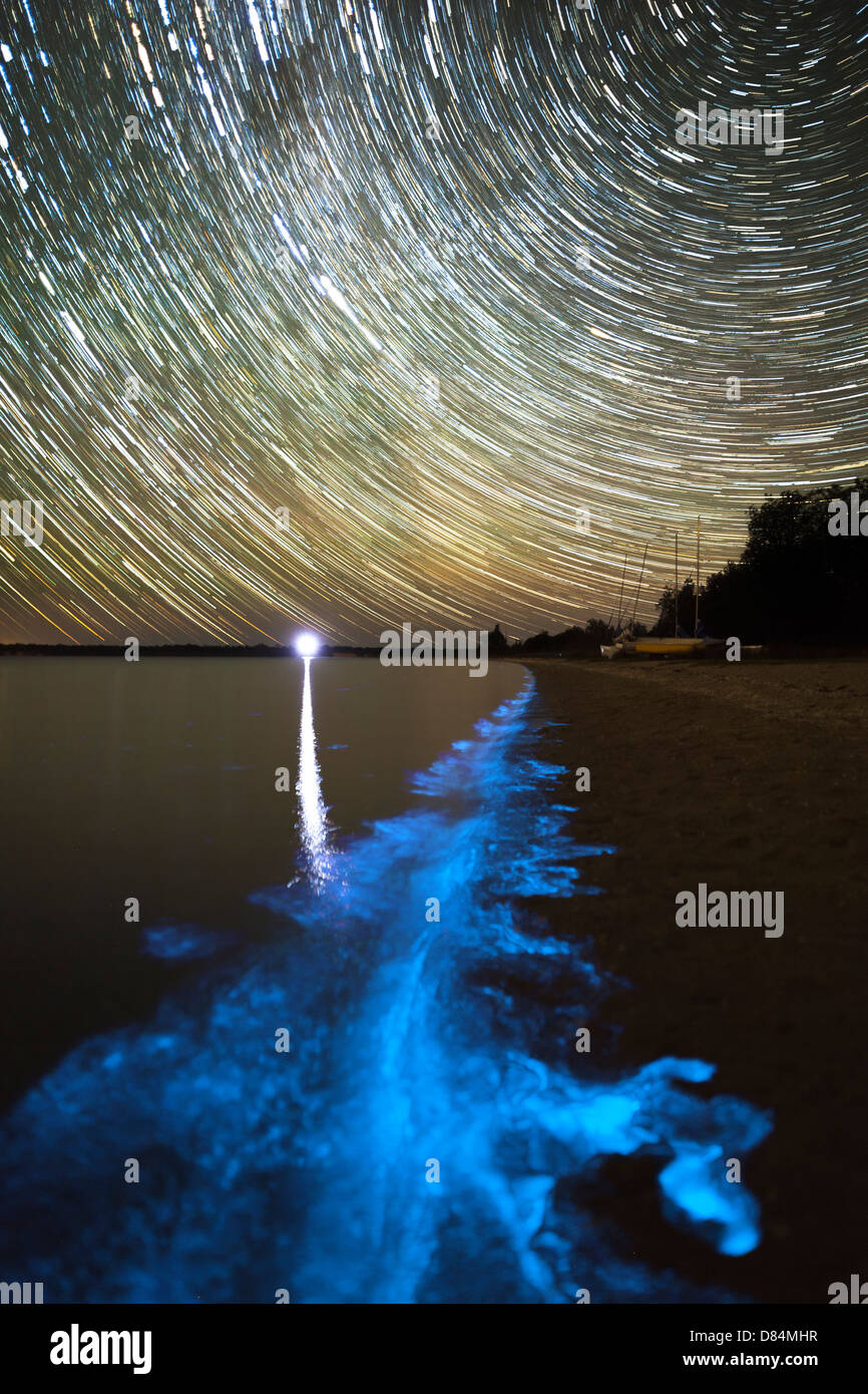 Tracce stellari e la bioluminescenza nel Gippsland Lakes, Victoria, Australia. Foto Stock