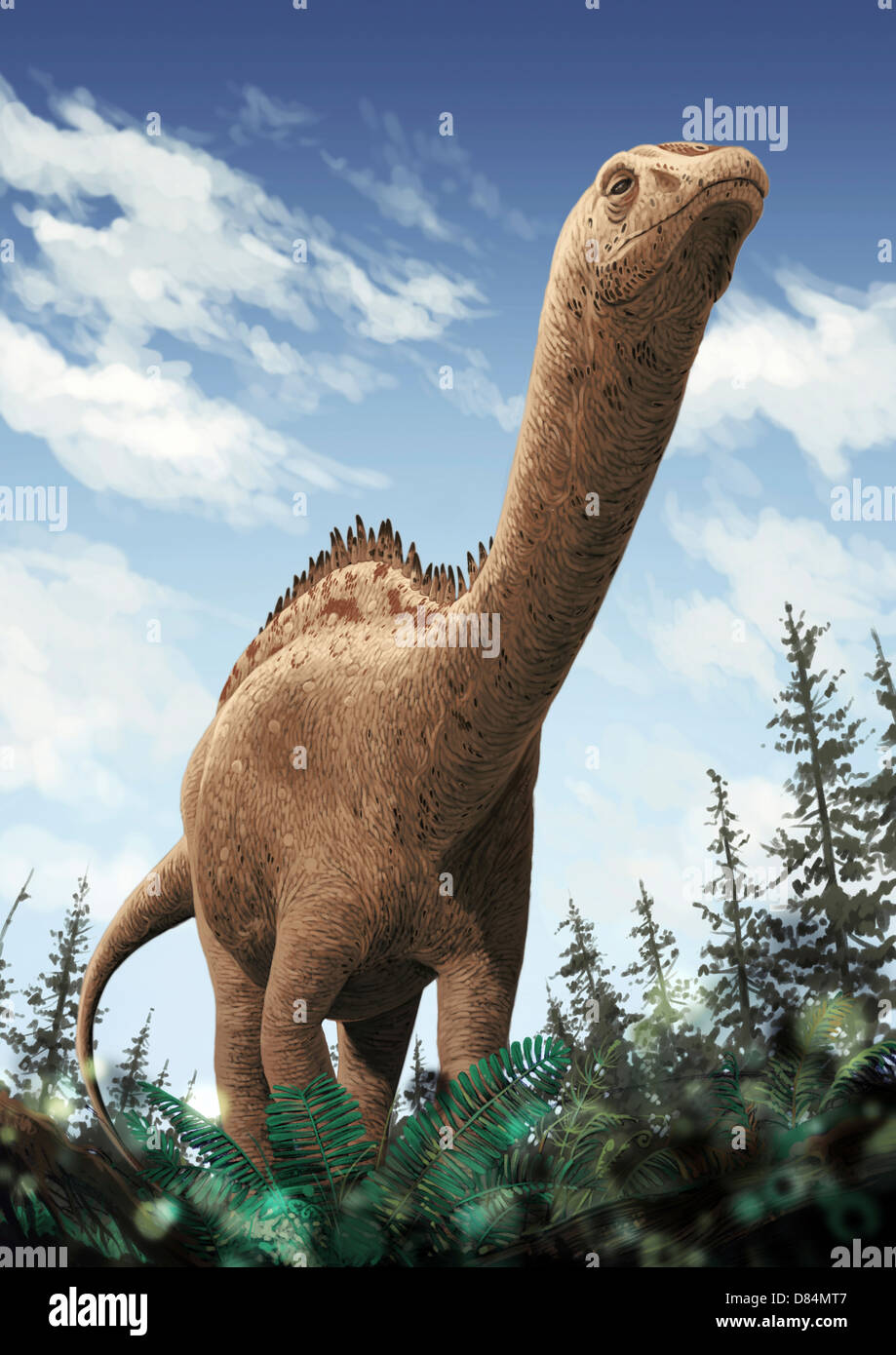 Demandasaurus darwini, un rebbachisaurid dalla provincia di Burgos, di Spagna, che mostra la forma tonda la ganascia inferiore. Foto Stock