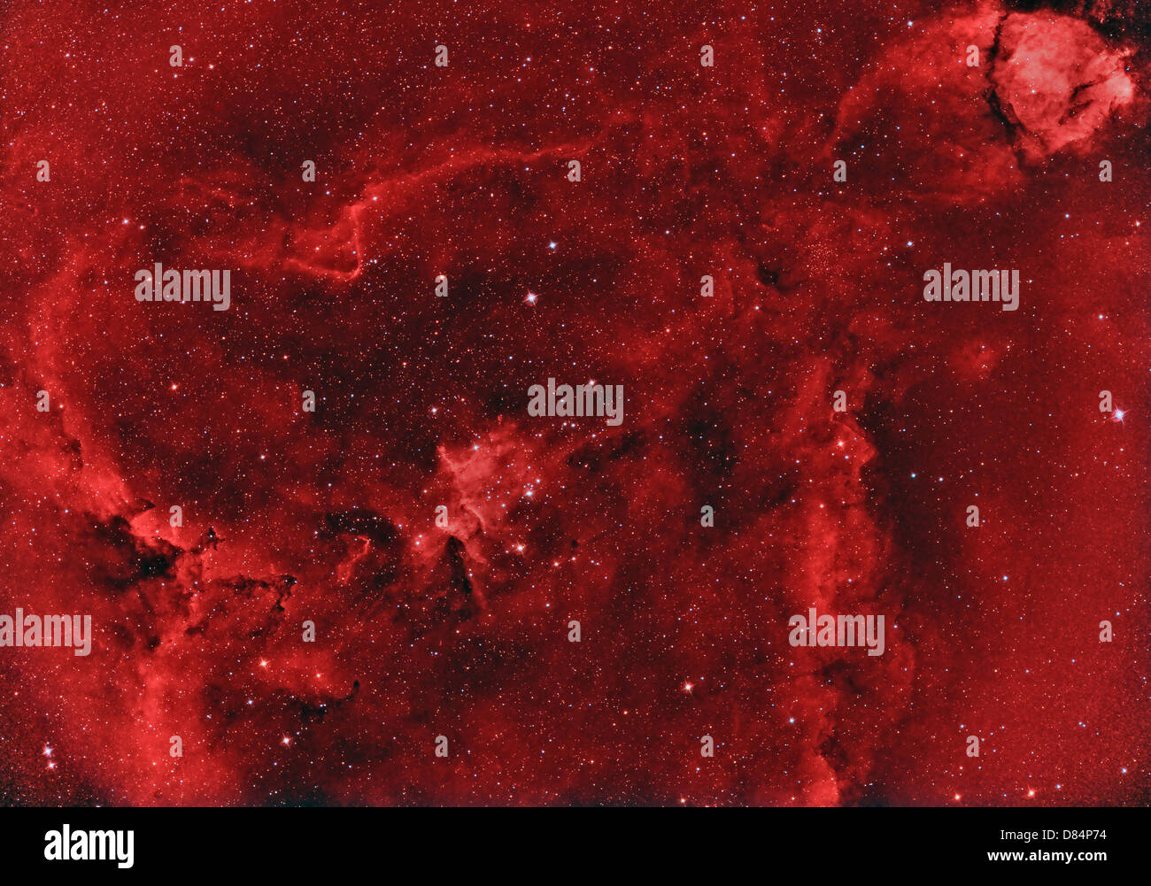 IC 1805, cuore nebulosa. Foto Stock
