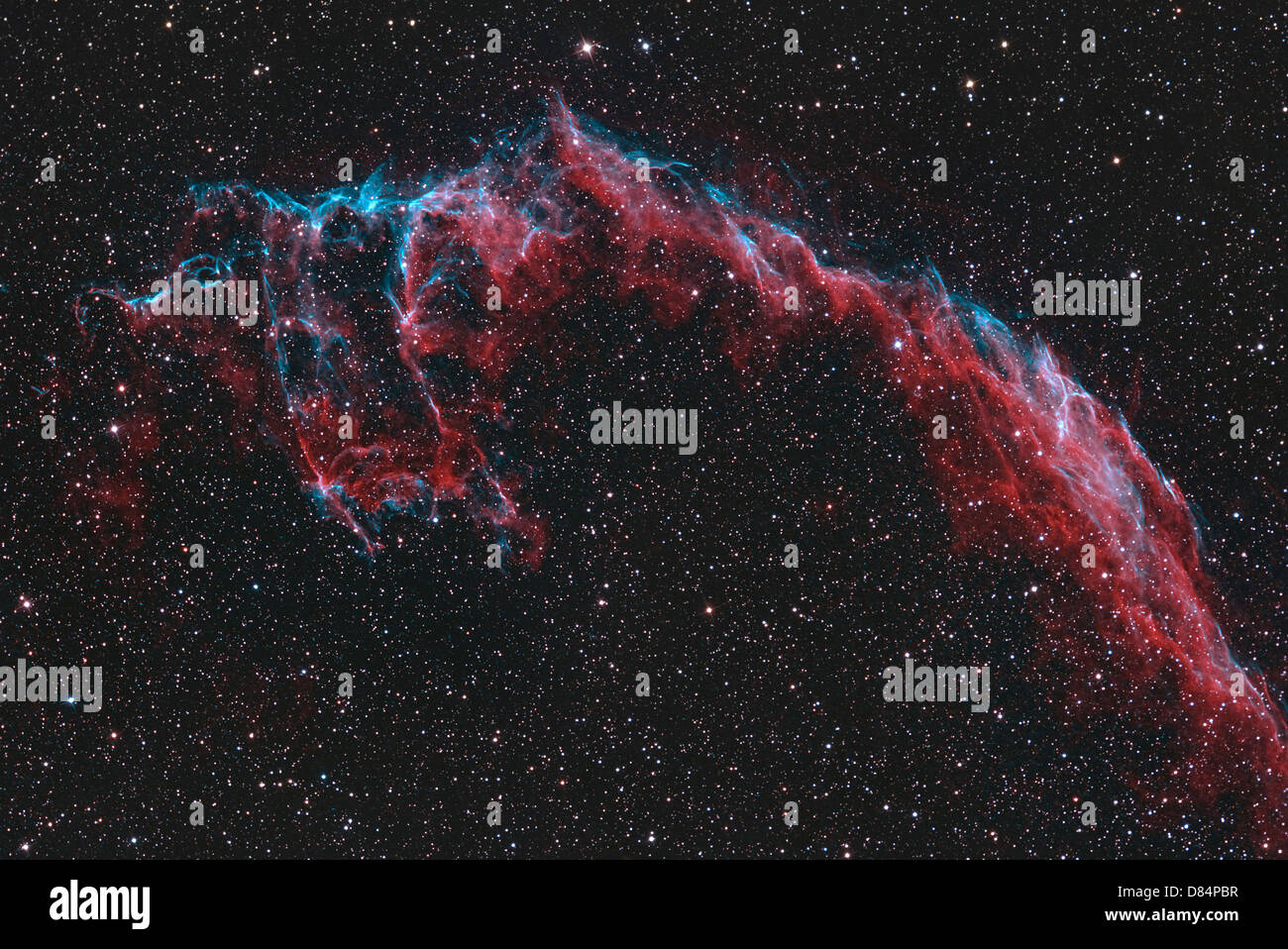 NGC 6992, il velo orientale nebulosa. Foto Stock