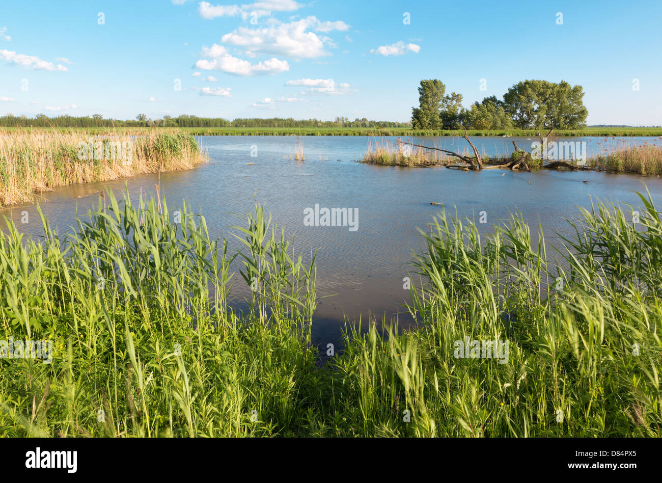 Barrage sul piccolo Danubio - Slovacchia Foto Stock