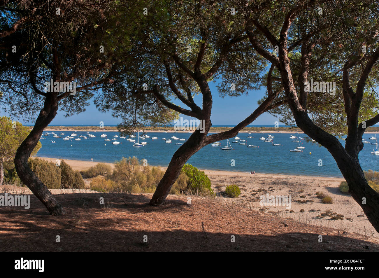 El Rompido beach, Cartaya, Huelva-provincia, regione dell'Andalusia, Spagna, Europa Foto Stock