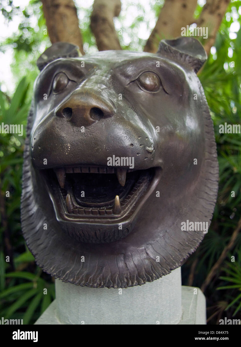 Statua di segno Cinese della tigre, Zhong County Cina Foto Stock
