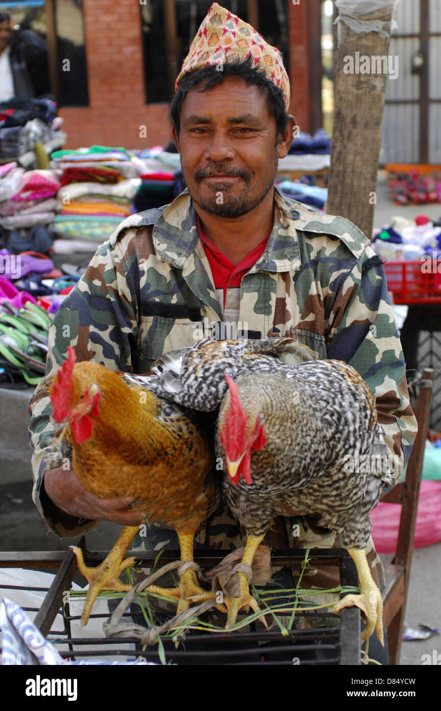 Fornitore di pollo in Nepal Foto Stock