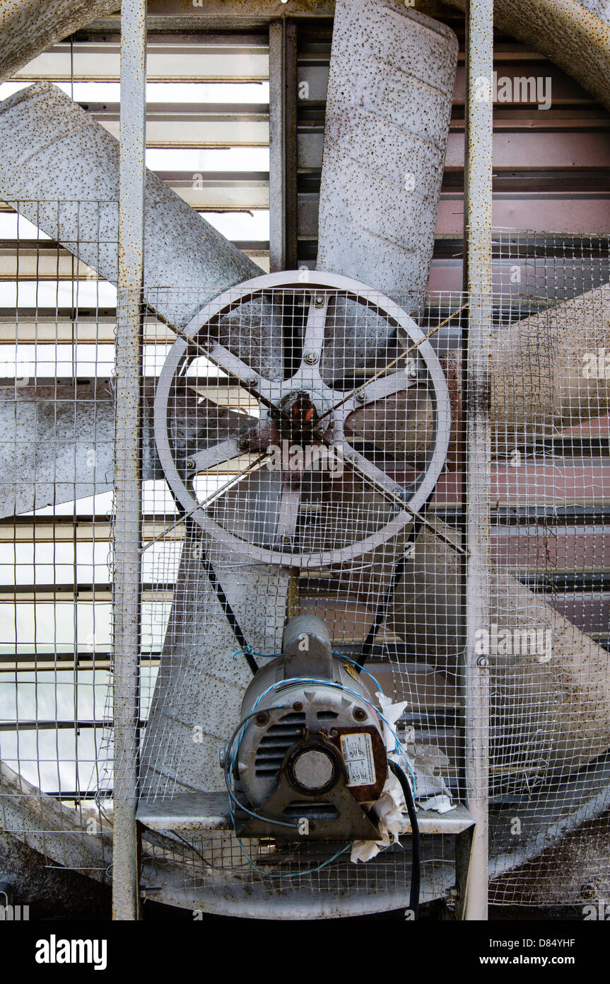 Ventilatore industriale all'interno di una serra. Arkansas, Stati Uniti d'America. Foto Stock