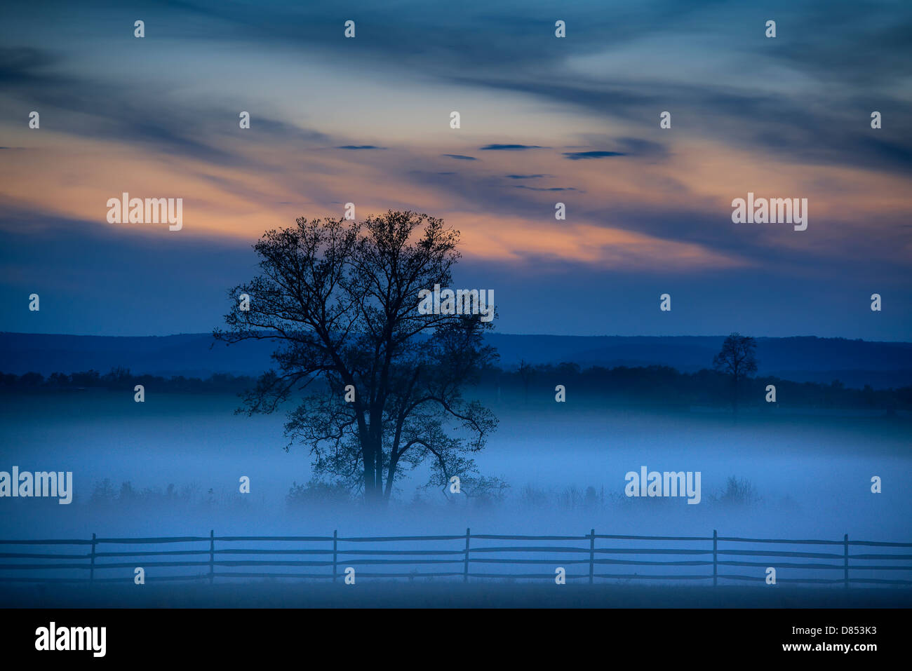 Moody mattina paesaggio, Gettysburg e campo di battaglia, Adams County, Pennsylvania, STATI UNITI D'AMERICA Foto Stock
