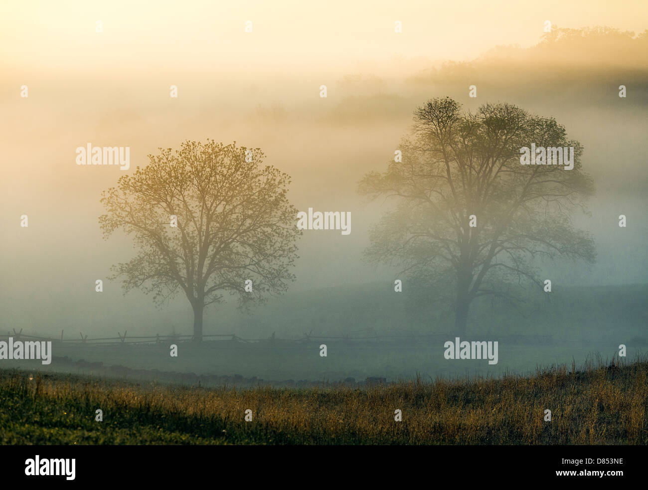 Misty, campo di battaglia di Gettysburg National Military Park, Pennsylvania, STATI UNITI D'AMERICA Foto Stock