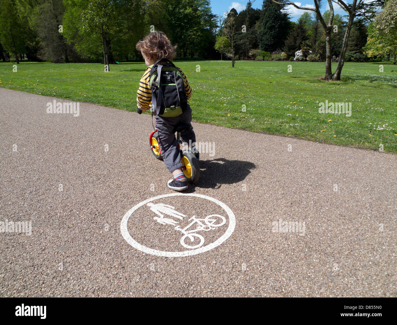 Un bambino di 3 anni ragazzo con zaino in sella alla sua bicicletta da un logo in bicicletta sulla pista ciclabile in Bute Park in primavera, Cardiff Wales UK KATHY DEWITT Foto Stock