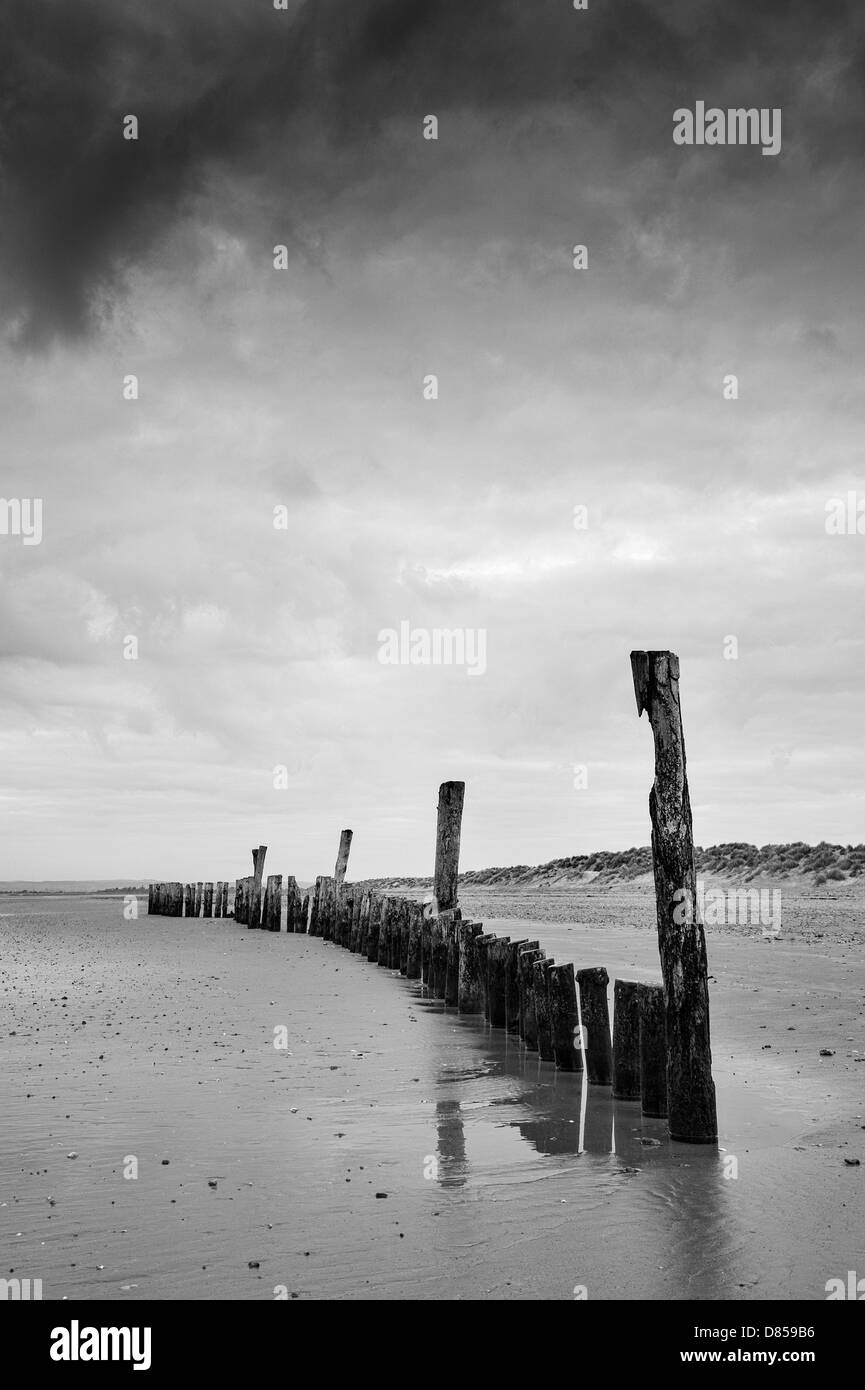 Immagine in bianco e nero di spiaggia con la bassa marea con montanti in legno paesaggio Foto Stock