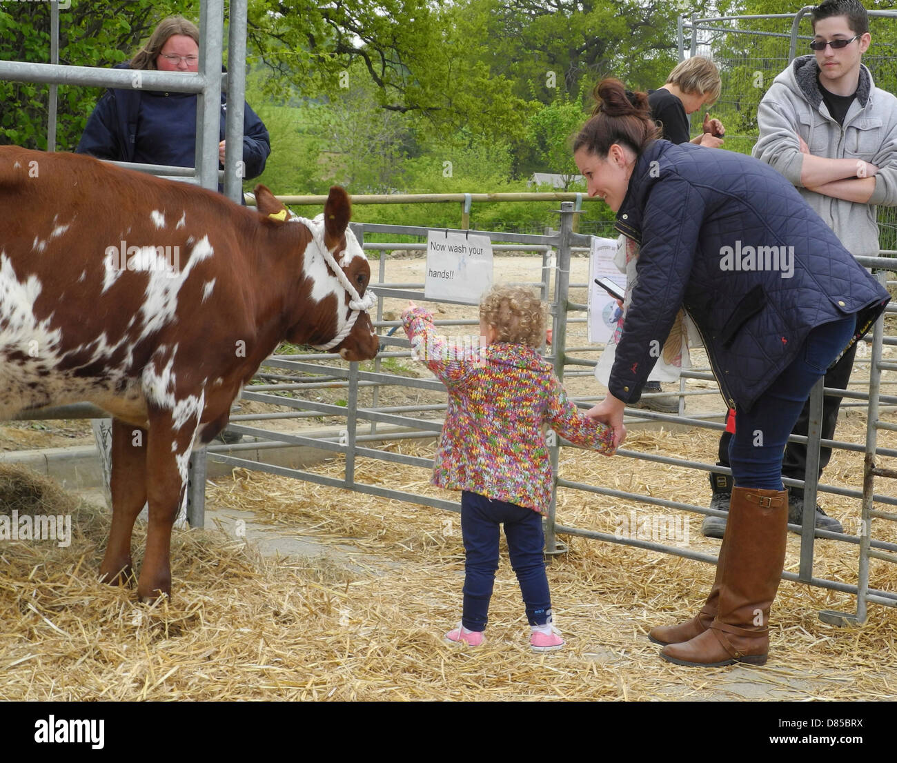 Petting zone a fiere di paese e spettacoli sono così popolari come mai - ma si accorge che chiedono che le mani sono lavate sono chiaramente visibili non modello rilasciato solo uso editoriale Foto Stock