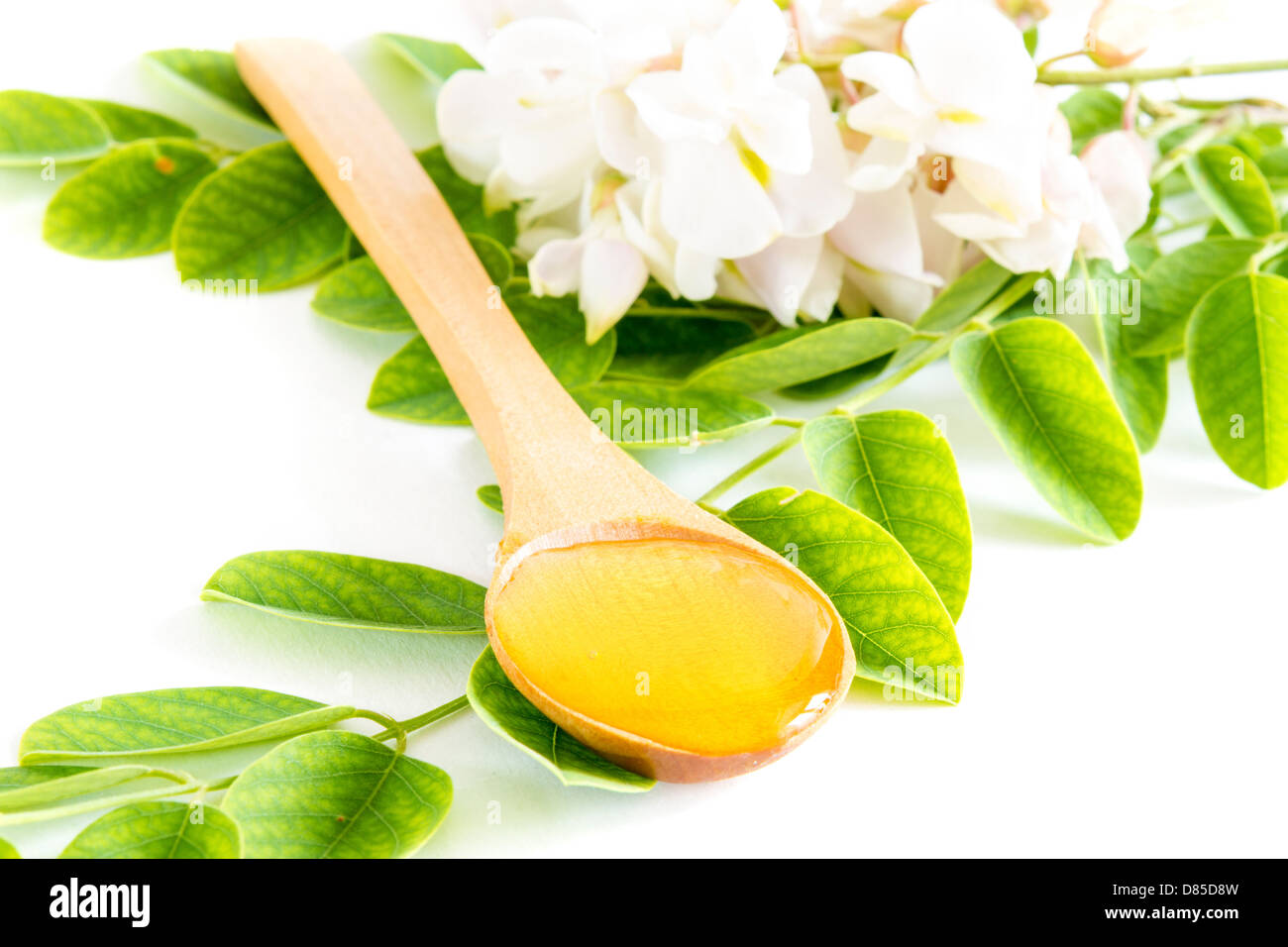 Il miele in cucchiaio con fiori di acacia e foglie su sfondo bianco Foto Stock