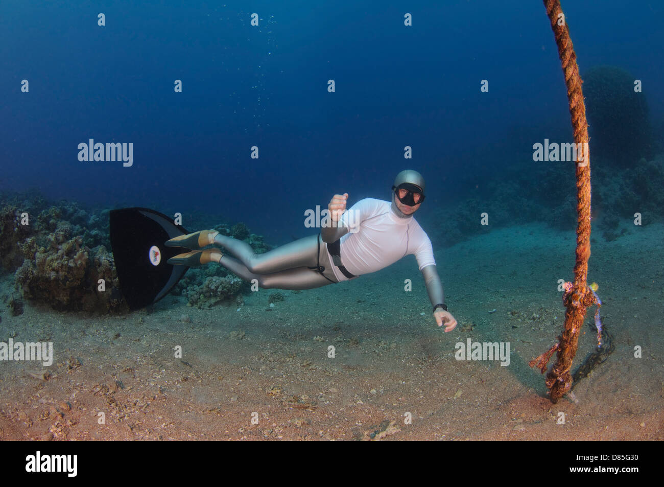 Freediver subacquea in Mar Rosso. Fotografato in Aqaba Giordania. Modello di Rilascio disponibili. Foto Stock