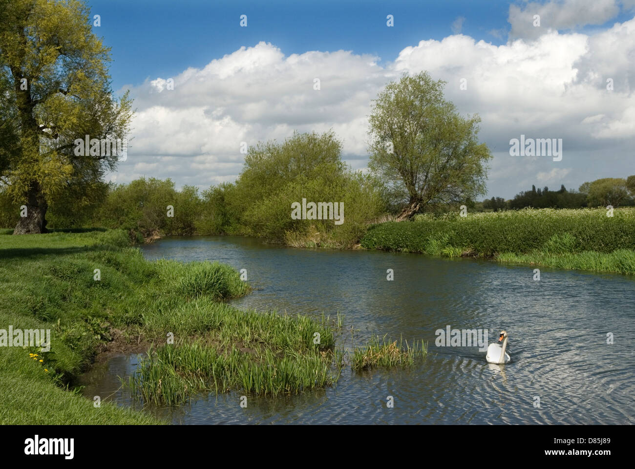 Grantchester Cambridgeshire UK il fiume Cam noto anche come fiume Granta a Grantchester. HOMER SYKES anni '2010 2010 Foto Stock