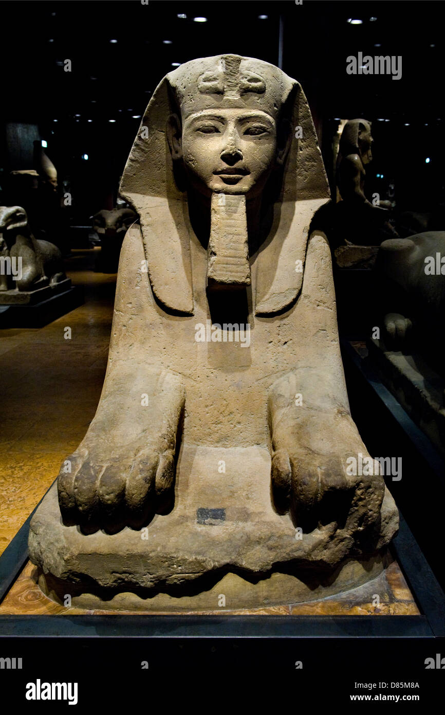 Italia Piemonte Torino Museo Egizio sala statuario la sfinge Foto Stock