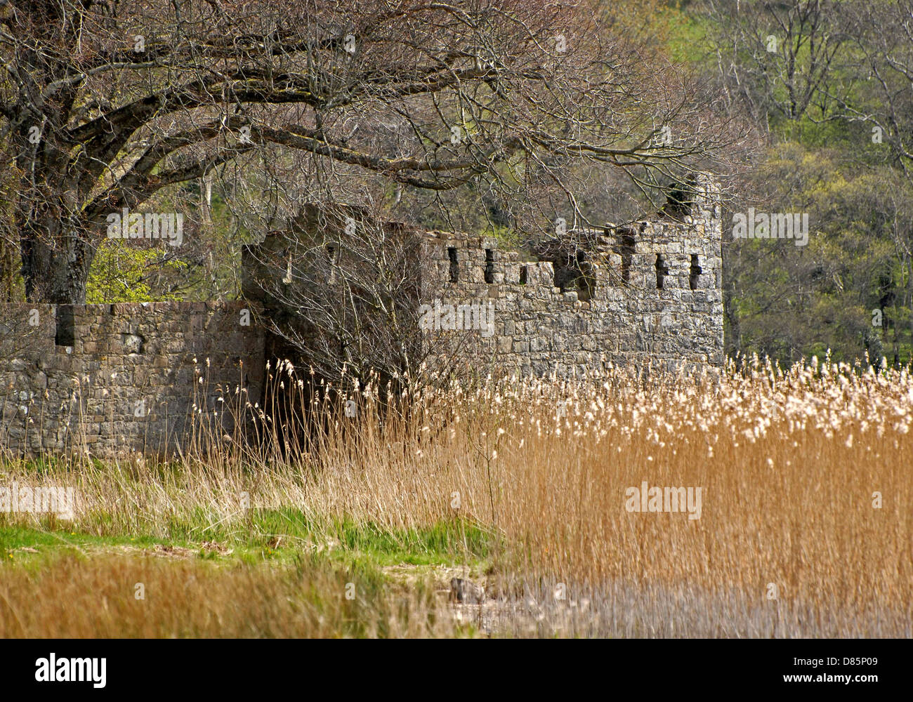 Il castello di Crom Estate, superiore del Lough Erne, County Fermanagh, Irlanda del Nord Foto Stock