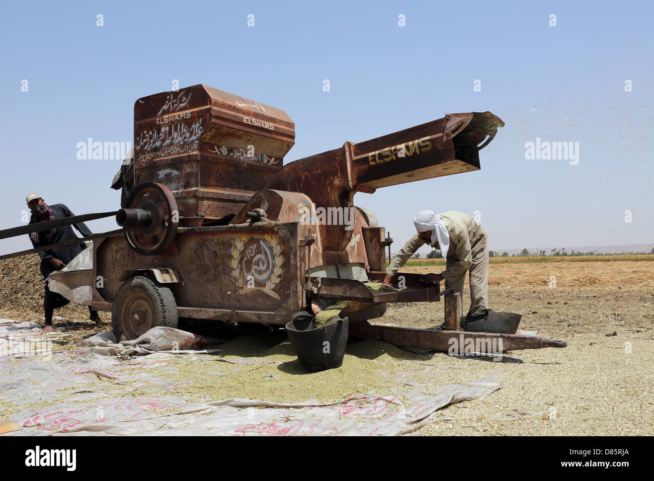 La trebbiatrice in un campo di grano in Alto Egitto Foto Stock