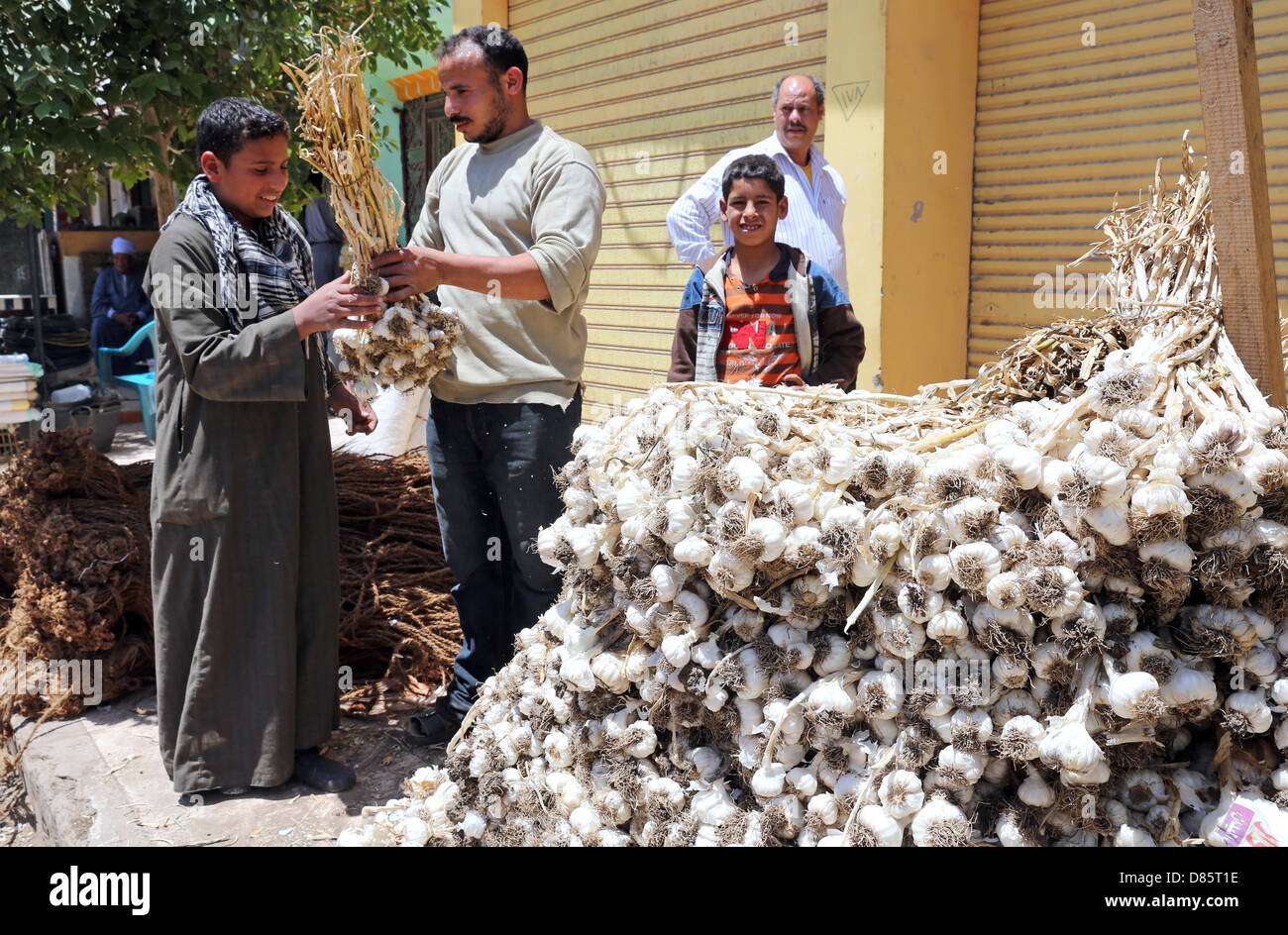 Pressione di stallo di mercato con aglio in Al Ghanayem, Alto Egitto Foto Stock