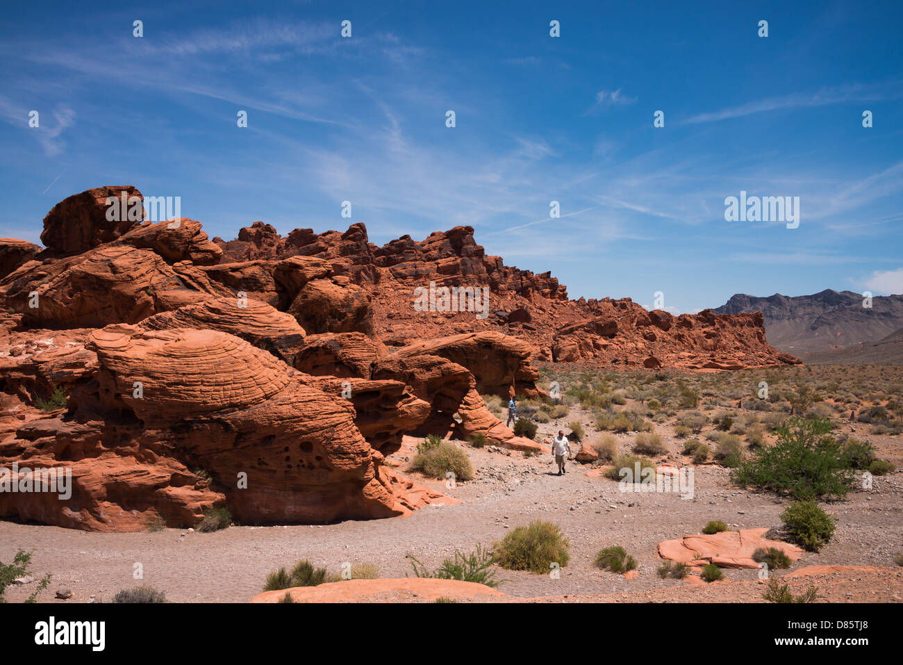 La Valle del Fuoco del parco statale è il più antico parco dello stato del Nevada, USA. Foto Stock