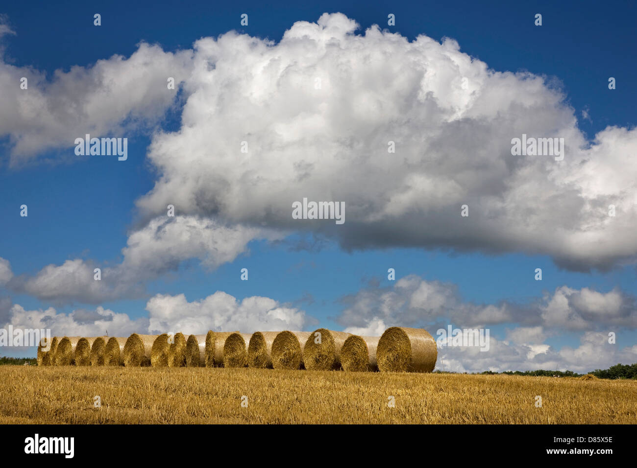 Cumulus mediocris nubi sul campo con round balle di fieno Foto Stock