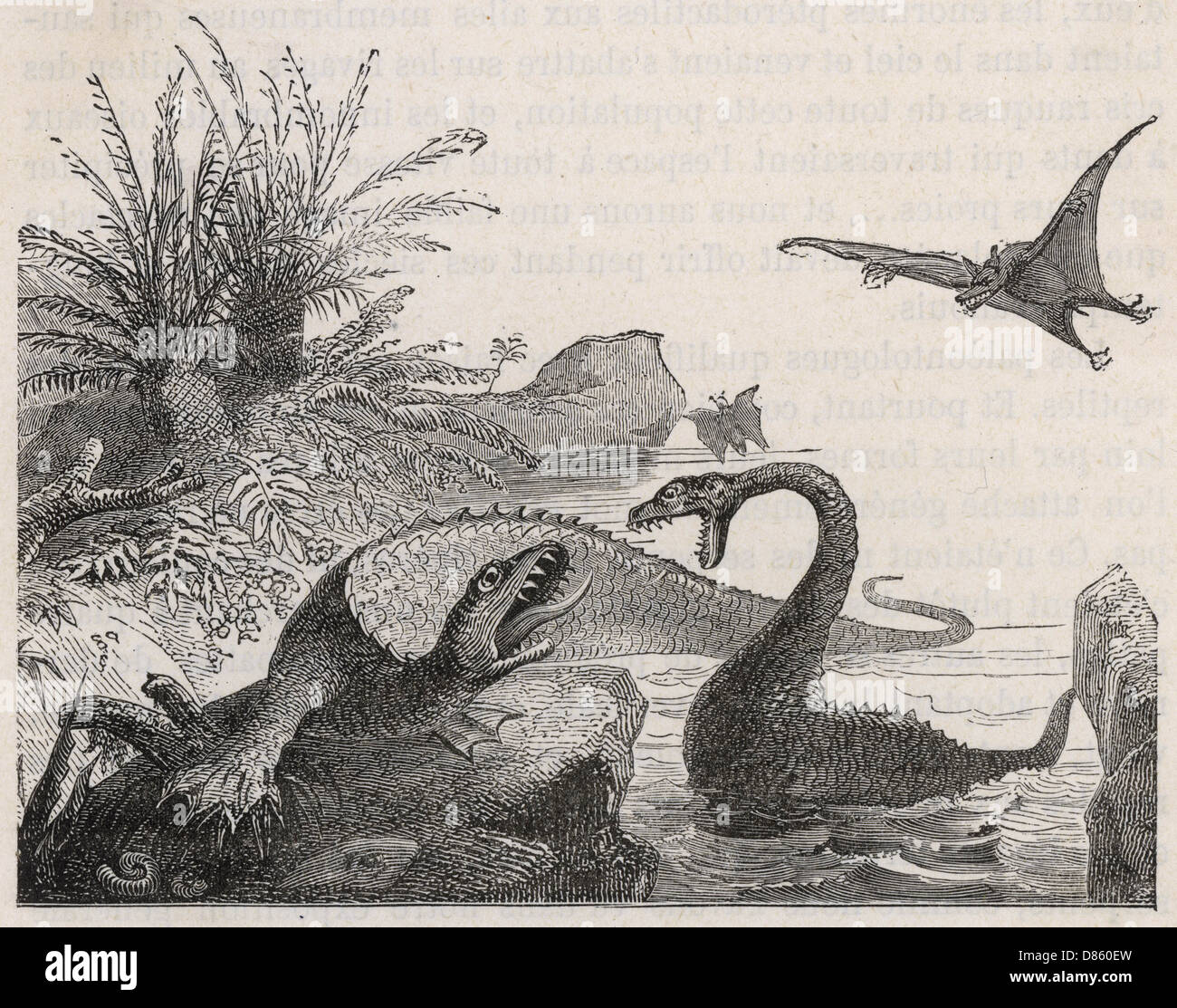 Ichthyosaurus, con Plesiosaur e Pterodactyls Foto Stock