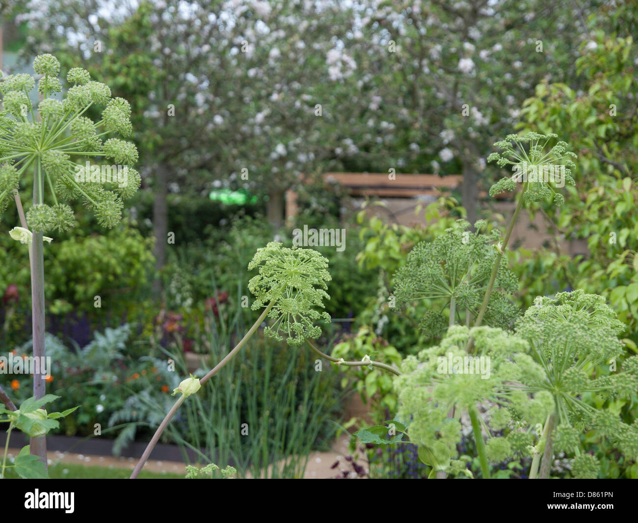 Londra, Regno Unito. Il 20 maggio 2013. Il Chelsea Flower Show. Nella foto: Thw homebase giardino. Londra, UK Credit: Ian Thwaites/Alamy Live News Foto Stock