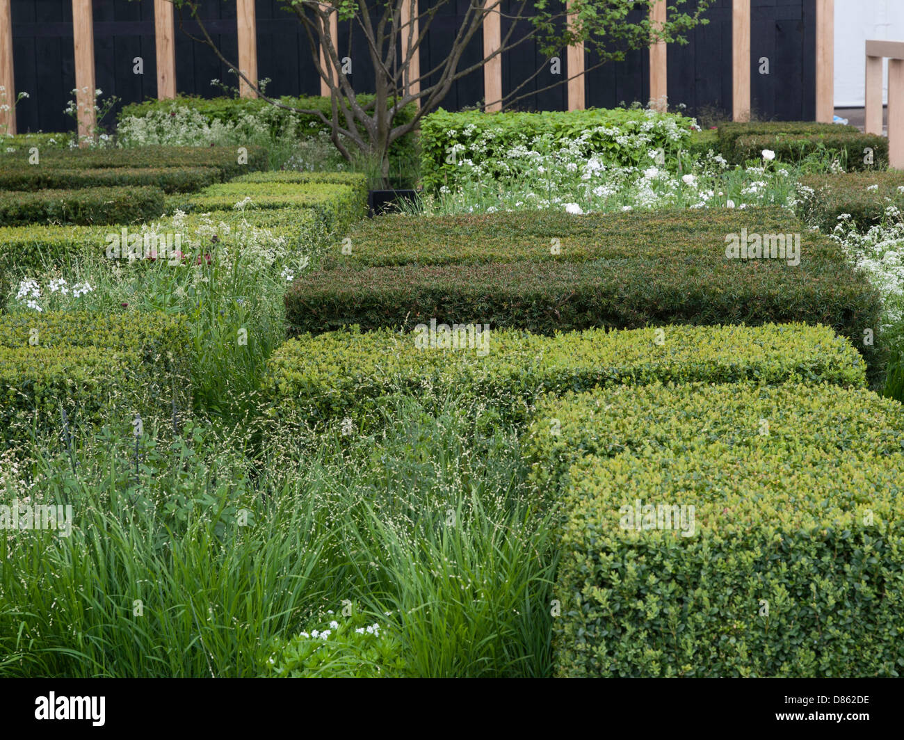Londra, Regno Unito. Il 20 maggio 2013. Il Chelsea Flower Show. Nella foto: il Daily Telegraph Garden. Londra, UK Credit: Ian Thwaites/Alamy Live News Foto Stock
