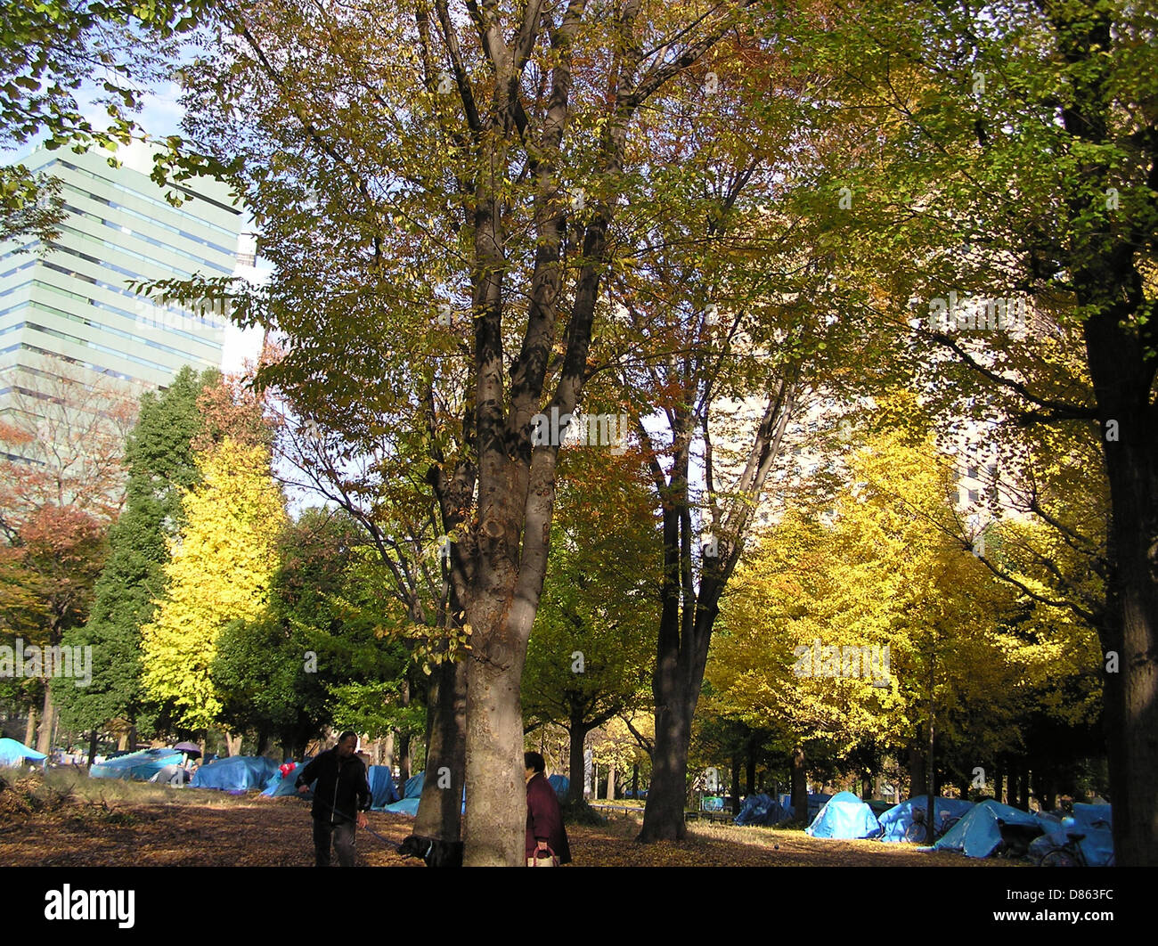 Shinjuku Central Park, situato a Tokyo, Giappone, è un grande parco pubblico noto per il suo spazio verde e il moderno design urbano. Il parco offre sentieri panoramici, spazi aperti per il relax e luoghi di interesse culturale. Questa foto del 7 dicembre 2003 cattura l'atmosfera serena del parco in mezzo alla vivace città, mostrando l'equilibrio tra natura e sviluppo urbano. Foto Stock