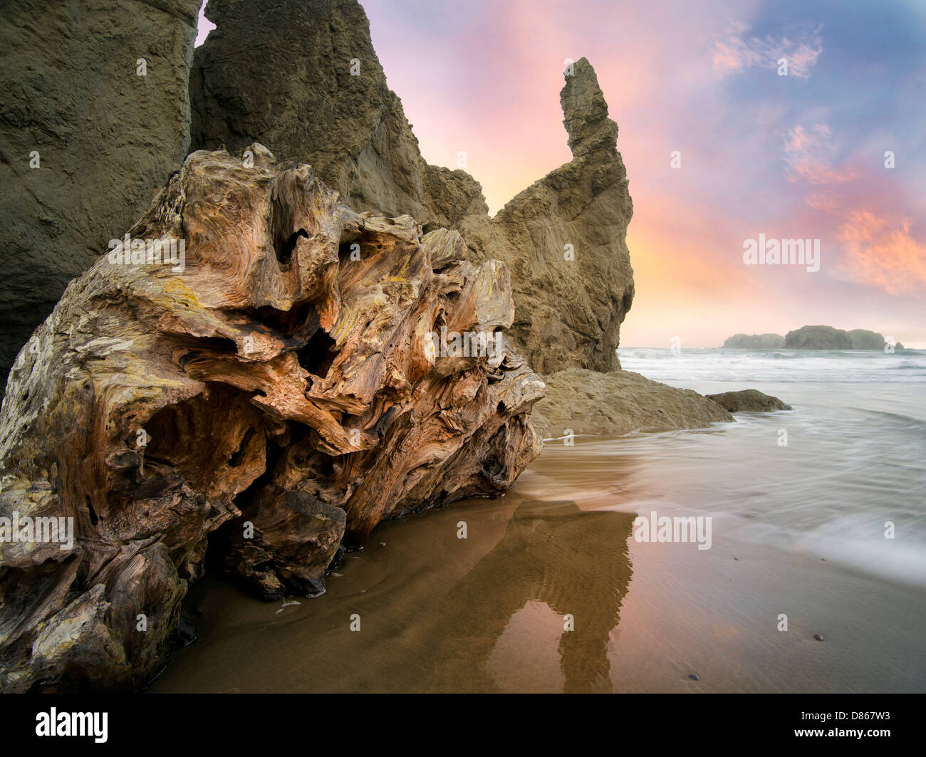 Root palla driftwood al Bandon Beach, Oregon Foto Stock
