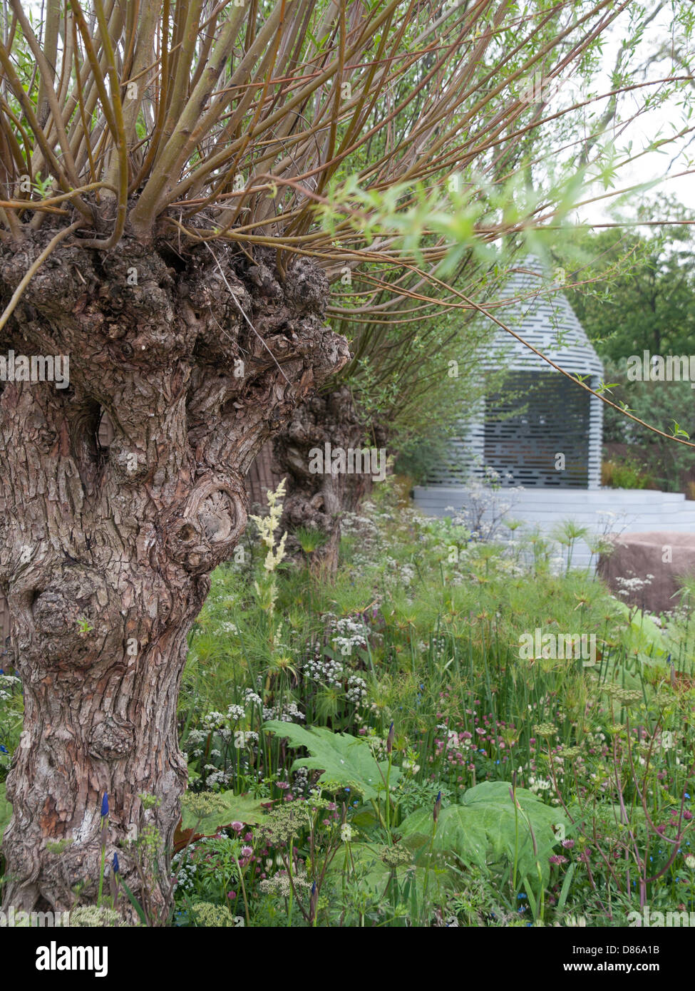 Londra, Regno Unito. Il 20 maggio 2013. Il Chelsea Flower Show.Il B&Q Sentebale Forget-Me non-giardino. Credito: Ian Thwaites/Alamy Live News Foto Stock