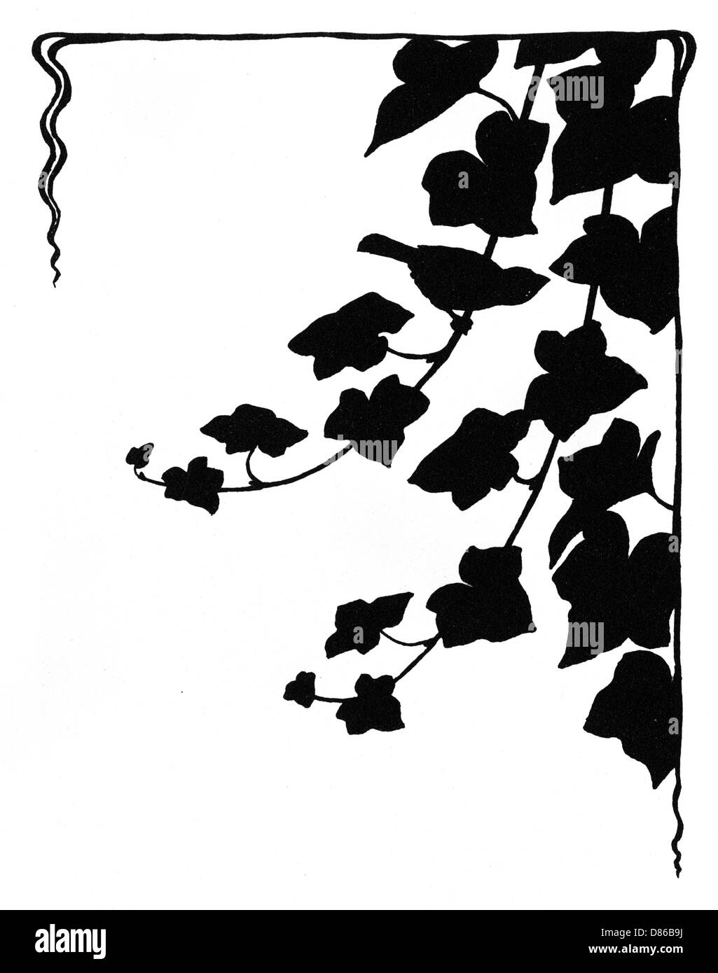 Jack Sparrow in cerca di falene nell'edera Foto Stock